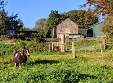 Greenway Equestrian Waterford